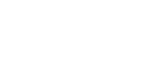 PRI logo transparent